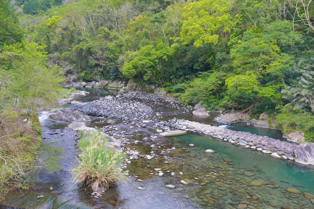 新北新店景點|烏來福山蝴蝶公園生態步道。漫步森林古圳步道、大羅蘭溪美景、寵物友善景點 - 第16張圖 新北新店景點|烏來福山蝴蝶公園生態步道。漫步森林古圳步道、大羅蘭溪美景、寵物友善景點
