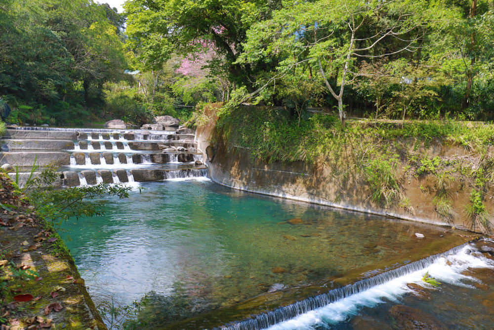 新北新店景點|烏來福山蝴蝶公園生態步道。漫步森林古圳步道、大羅蘭溪美景、寵物友善景點 - 第5張圖 新北新店景點|烏來福山蝴蝶公園生態步道。漫步森林古圳步道、大羅蘭溪美景、寵物友善景點