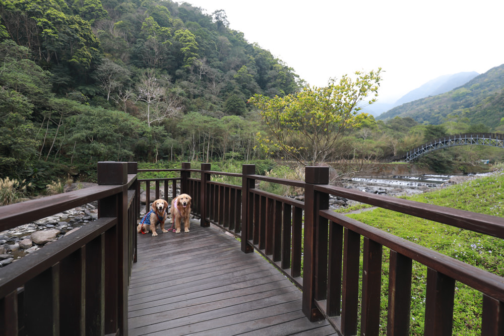 新北新店景點|烏來福山蝴蝶公園生態步道。漫步森林古圳步道、大羅蘭溪美景、寵物友善景點 - 第20張圖 新北新店景點|烏來福山蝴蝶公園生態步道。漫步森林古圳步道、大羅蘭溪美景、寵物友善景點