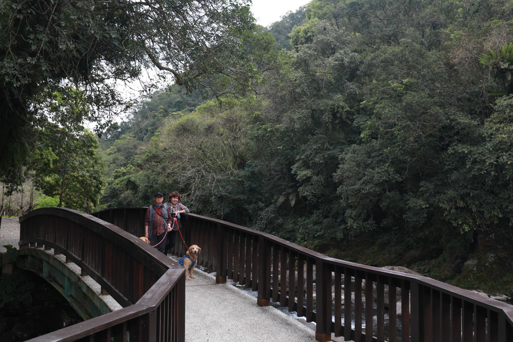 新北新店景點|烏來福山蝴蝶公園生態步道。漫步森林古圳步道、大羅蘭溪美景、寵物友善景點 - 第21張圖 新北新店景點|烏來福山蝴蝶公園生態步道。漫步森林古圳步道、大羅蘭溪美景、寵物友善景點