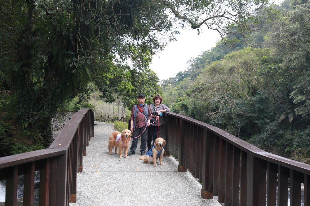 新北新店景點|烏來福山蝴蝶公園生態步道。漫步森林古圳步道、大羅蘭溪美景、寵物友善景點 - 第22張圖 新北新店景點|烏來福山蝴蝶公園生態步道。漫步森林古圳步道、大羅蘭溪美景、寵物友善景點