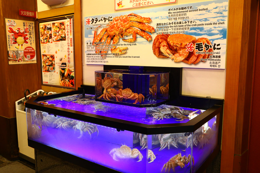 大阪必吃美食|蟹道樂かに道楽道頓堀中店。螃蟹會席料理、日本知名蟹料理連鎖專門店 - 第5張圖 大阪必吃美食|蟹道樂かに道楽道頓堀中店。螃蟹會席料理、日本知名蟹料理連鎖專門店