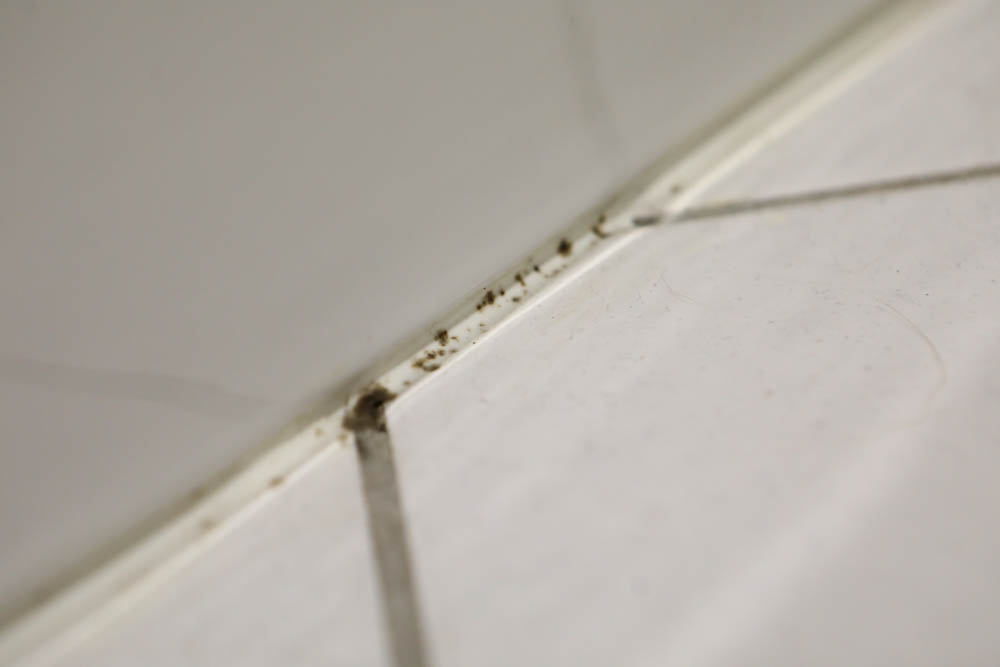 浴室廚房居家清潔|潔淨學矽利康除霉凝膠、玻璃除垢泡沫。矽利康去霉好幫手,水垢髒污清潔溜溜 - 第7張圖 浴室廚房居家清潔|潔淨學矽利康除霉凝膠、玻璃除垢泡沫。矽利康去霉好幫手,水垢髒污清潔溜溜