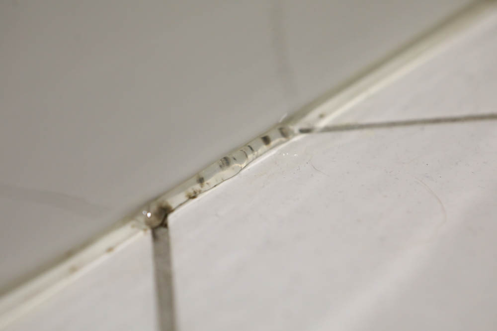 浴室廚房居家清潔|潔淨學矽利康除霉凝膠、玻璃除垢泡沫。矽利康去霉好幫手,水垢髒污清潔溜溜 - 第9張圖 浴室廚房居家清潔|潔淨學矽利康除霉凝膠、玻璃除垢泡沫。矽利康去霉好幫手,水垢髒污清潔溜溜