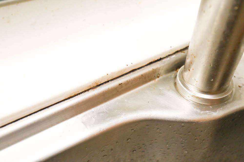 浴室廚房居家清潔|潔淨學矽利康除霉凝膠、玻璃除垢泡沫。矽利康去霉好幫手,水垢髒污清潔溜溜 - 第14張圖 浴室廚房居家清潔|潔淨學矽利康除霉凝膠、玻璃除垢泡沫。矽利康去霉好幫手,水垢髒污清潔溜溜