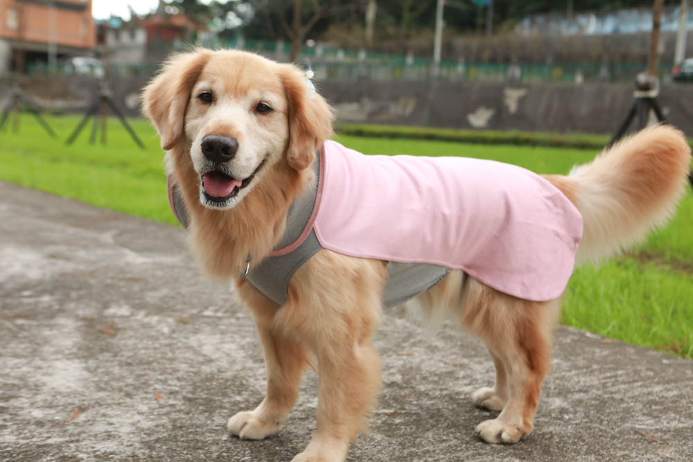 北歐PAIKKA狗狗衣服,重視機能與設計感:專利石墨烯遠紅外線恆溫衣、防水雙層保暖外出服 - 第20張圖 北歐PAIKKA狗狗衣服,重視機能與設計感:專利石墨烯遠紅外線恆溫衣、防水雙層保暖外出服