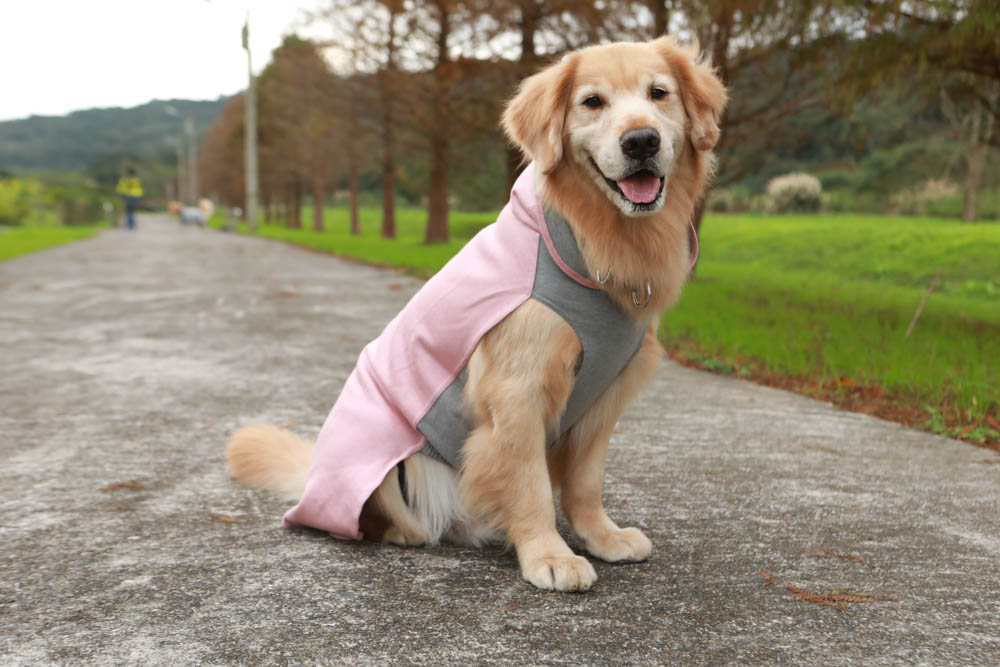 北歐PAIKKA狗狗衣服,重視機能與設計感:專利石墨烯遠紅外線恆溫衣、防水雙層保暖外出服 - 第17張圖 北歐PAIKKA狗狗衣服,重視機能與設計感:專利石墨烯遠紅外線恆溫衣、防水雙層保暖外出服