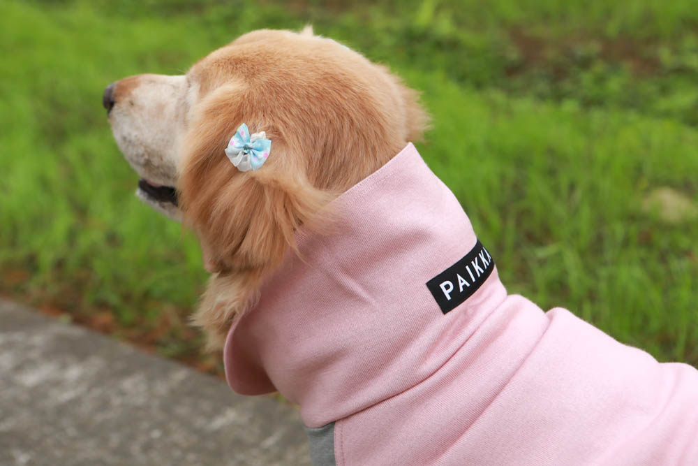 北歐PAIKKA狗狗衣服,重視機能與設計感:專利石墨烯遠紅外線恆溫衣、防水雙層保暖外出服 - 第18張圖 北歐PAIKKA狗狗衣服,重視機能與設計感:專利石墨烯遠紅外線恆溫衣、防水雙層保暖外出服