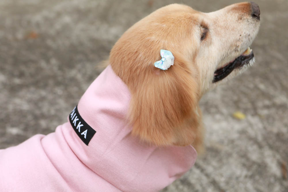 北歐PAIKKA狗狗衣服,重視機能與設計感:專利石墨烯遠紅外線恆溫衣、防水雙層保暖外出服 - 第19張圖 北歐PAIKKA狗狗衣服,重視機能與設計感:專利石墨烯遠紅外線恆溫衣、防水雙層保暖外出服