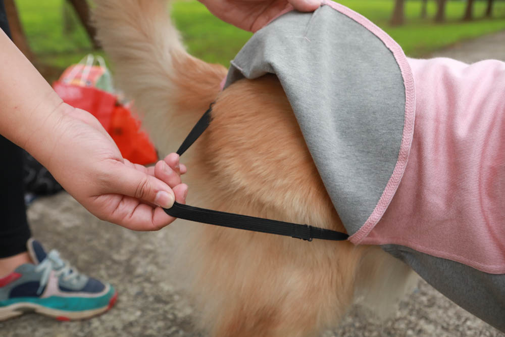 北歐PAIKKA狗狗衣服,重視機能與設計感:專利石墨烯遠紅外線恆溫衣、防水雙層保暖外出服 - 第21張圖 北歐PAIKKA狗狗衣服,重視機能與設計感:專利石墨烯遠紅外線恆溫衣、防水雙層保暖外出服