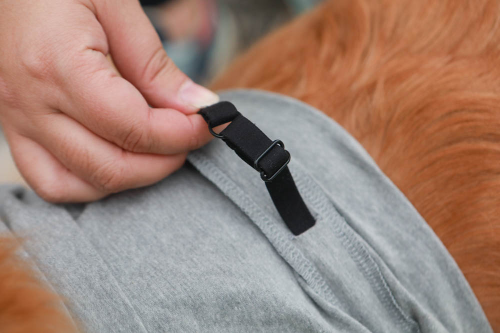 北歐PAIKKA狗狗衣服,重視機能與設計感:專利石墨烯遠紅外線恆溫衣、防水雙層保暖外出服 - 第16張圖 北歐PAIKKA狗狗衣服,重視機能與設計感:專利石墨烯遠紅外線恆溫衣、防水雙層保暖外出服