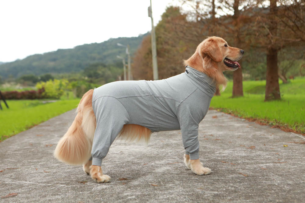 北歐PAIKKA狗狗衣服,重視機能與設計感:專利石墨烯遠紅外線恆溫衣、防水雙層保暖外出服 - 第11張圖 北歐PAIKKA狗狗衣服,重視機能與設計感:專利石墨烯遠紅外線恆溫衣、防水雙層保暖外出服