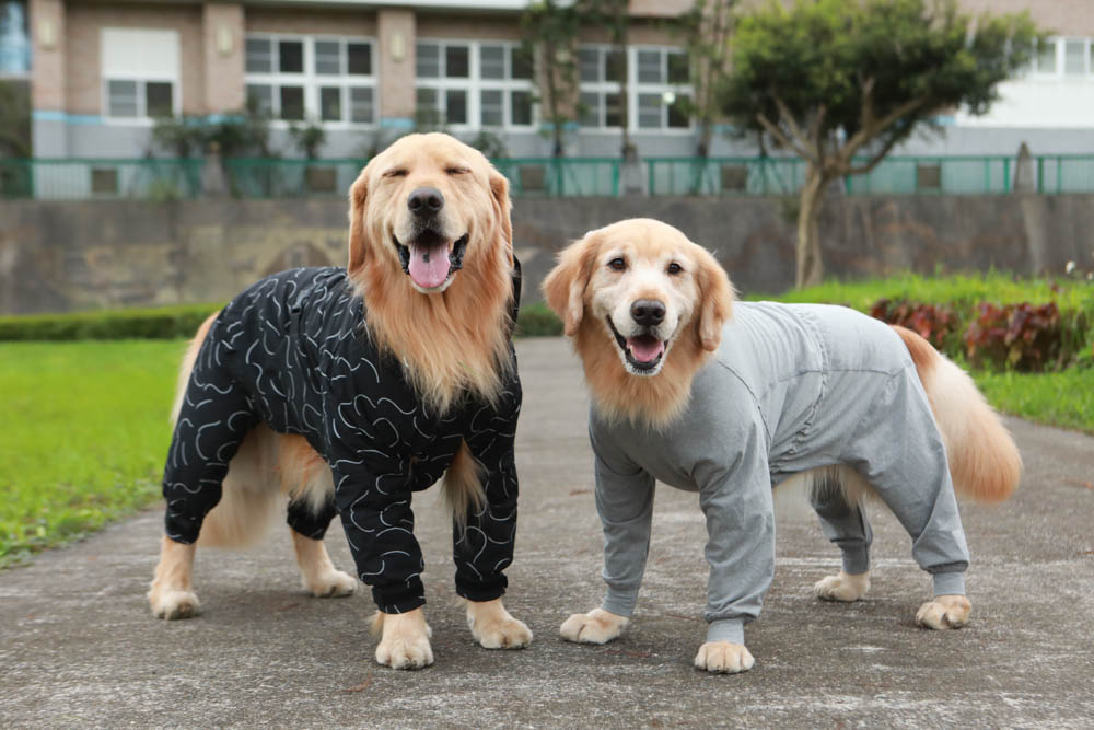 北歐PAIKKA狗狗衣服,重視機能與設計感:專利石墨烯遠紅外線恆溫衣、防水雙層保暖外出服 - 第35張圖 北歐PAIKKA狗狗衣服,重視機能與設計感:專利石墨烯遠紅外線恆溫衣、防水雙層保暖外出服