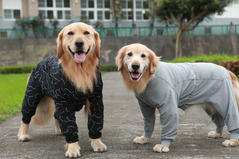 北歐PAIKKA狗狗衣服,重視機能與設計感:專利石墨烯遠紅外線恆溫衣、防水雙層保暖外出服 - 第3張圖 北歐PAIKKA狗狗衣服,重視機能與設計感:專利石墨烯遠紅外線恆溫衣、防水雙層保暖外出服