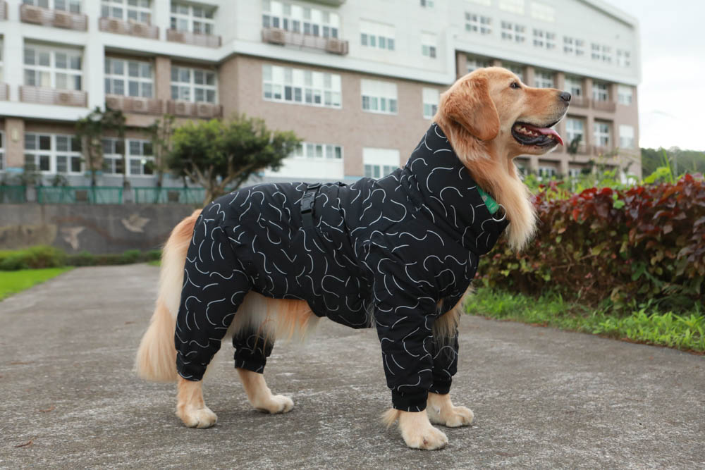 北歐PAIKKA狗狗衣服,重視機能與設計感:專利石墨烯遠紅外線恆溫衣、防水雙層保暖外出服 - 第33張圖 北歐PAIKKA狗狗衣服,重視機能與設計感:專利石墨烯遠紅外線恆溫衣、防水雙層保暖外出服