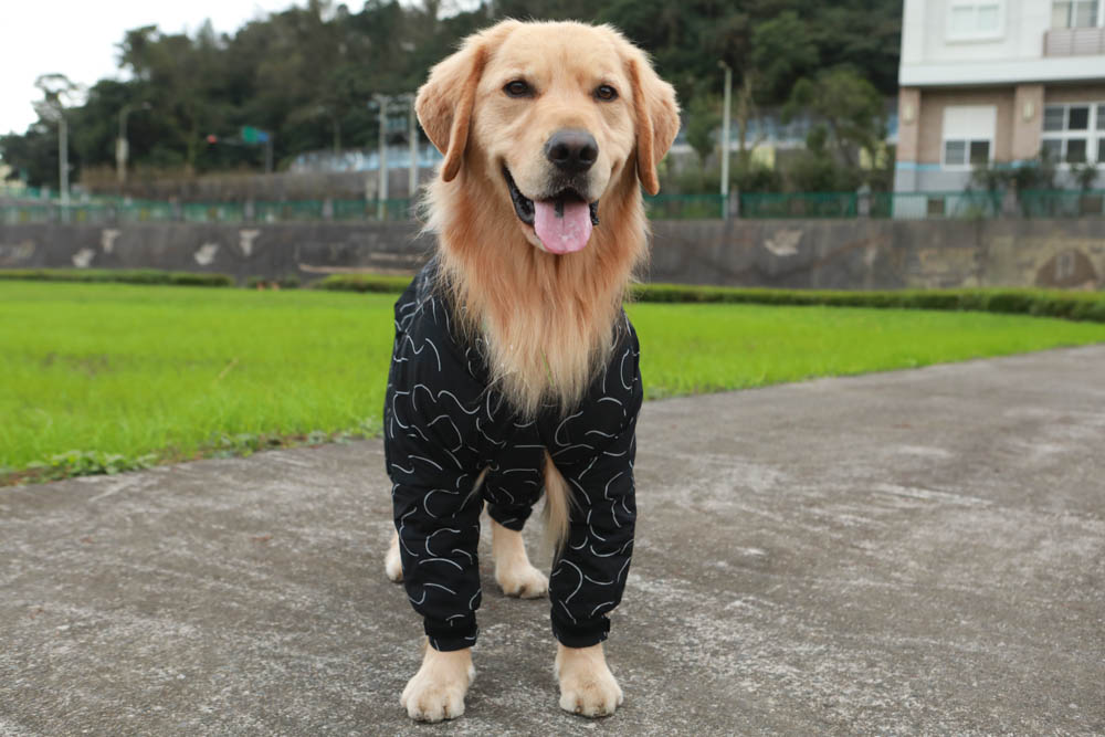 北歐PAIKKA狗狗衣服,重視機能與設計感:專利石墨烯遠紅外線恆溫衣、防水雙層保暖外出服 - 第27張圖 北歐PAIKKA狗狗衣服,重視機能與設計感:專利石墨烯遠紅外線恆溫衣、防水雙層保暖外出服