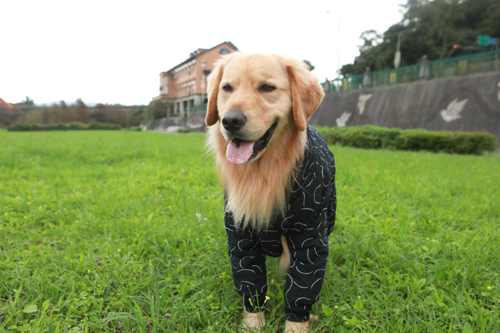 北歐PAIKKA狗狗衣服,重視機能與設計感:專利石墨烯遠紅外線恆溫衣、防水雙層保暖外出服 - 第29張圖 北歐PAIKKA狗狗衣服,重視機能與設計感:專利石墨烯遠紅外線恆溫衣、防水雙層保暖外出服