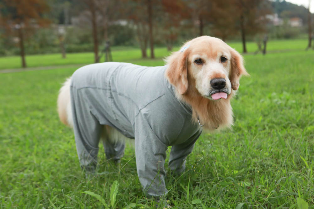 北歐PAIKKA狗狗衣服,重視機能與設計感:專利石墨烯遠紅外線恆溫衣、防水雙層保暖外出服 - 第7張圖 北歐PAIKKA狗狗衣服,重視機能與設計感:專利石墨烯遠紅外線恆溫衣、防水雙層保暖外出服