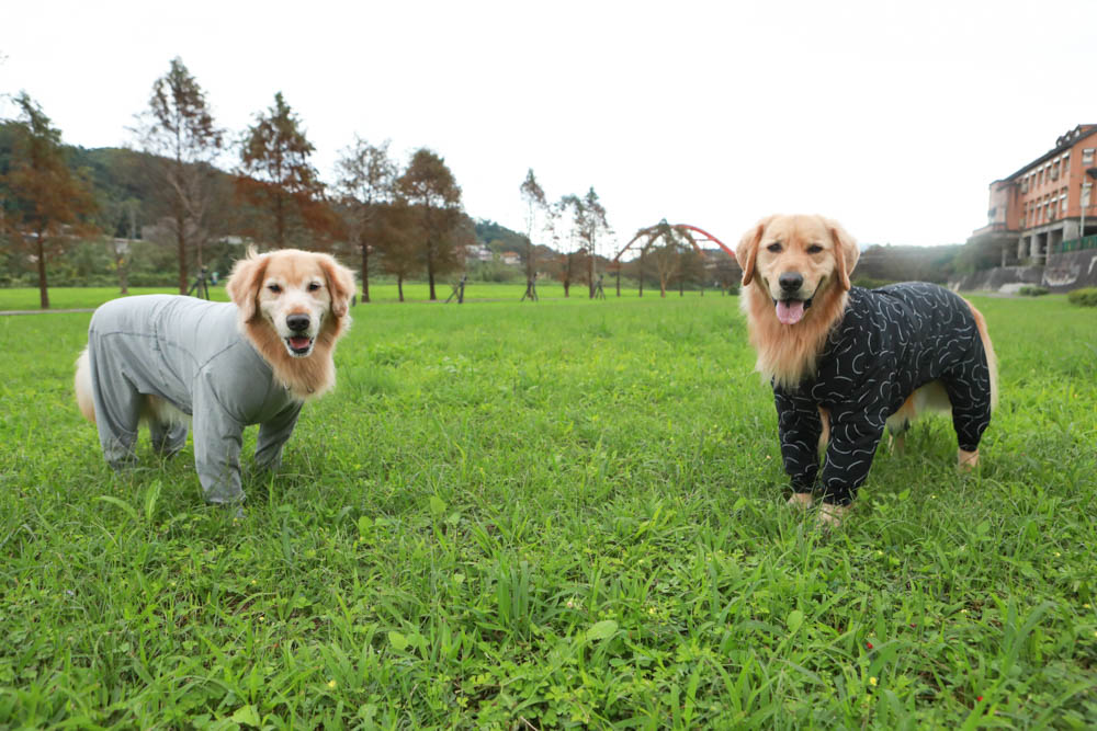 北歐PAIKKA狗狗衣服,重視機能與設計感:專利石墨烯遠紅外線恆溫衣、防水雙層保暖外出服 - 第6張圖 北歐PAIKKA狗狗衣服,重視機能與設計感:專利石墨烯遠紅外線恆溫衣、防水雙層保暖外出服