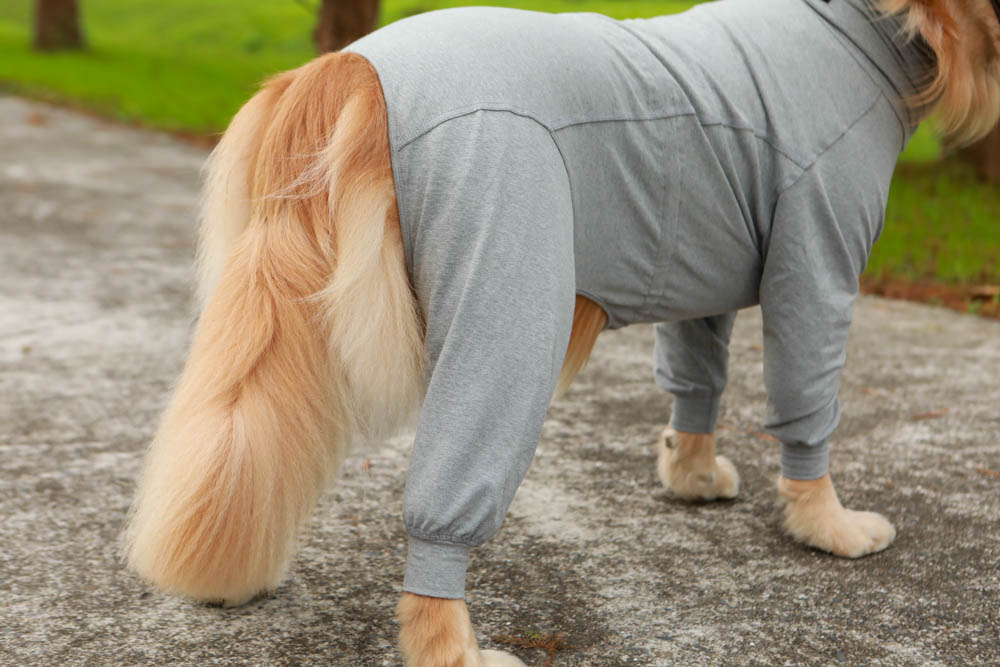 北歐PAIKKA狗狗衣服,重視機能與設計感:專利石墨烯遠紅外線恆溫衣、防水雙層保暖外出服 - 第12張圖 北歐PAIKKA狗狗衣服,重視機能與設計感:專利石墨烯遠紅外線恆溫衣、防水雙層保暖外出服