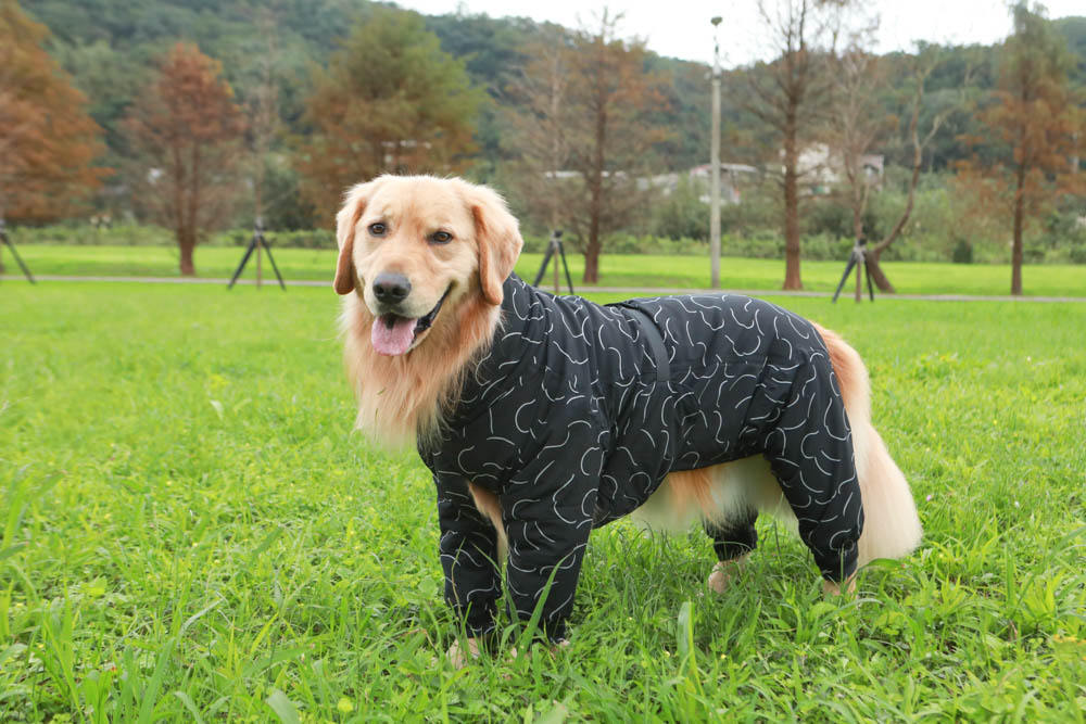 北歐PAIKKA狗狗衣服,重視機能與設計感:專利石墨烯遠紅外線恆溫衣、防水雙層保暖外出服 - 第34張圖 北歐PAIKKA狗狗衣服,重視機能與設計感:專利石墨烯遠紅外線恆溫衣、防水雙層保暖外出服