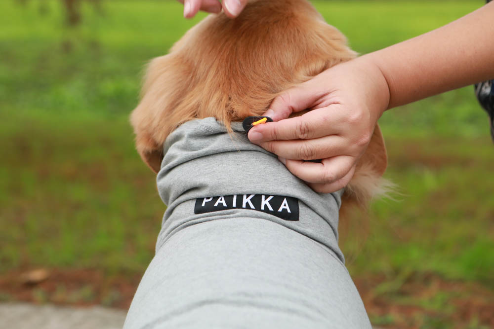 北歐PAIKKA狗狗衣服,重視機能與設計感:專利石墨烯遠紅外線恆溫衣、防水雙層保暖外出服 - 第15張圖 北歐PAIKKA狗狗衣服,重視機能與設計感:專利石墨烯遠紅外線恆溫衣、防水雙層保暖外出服