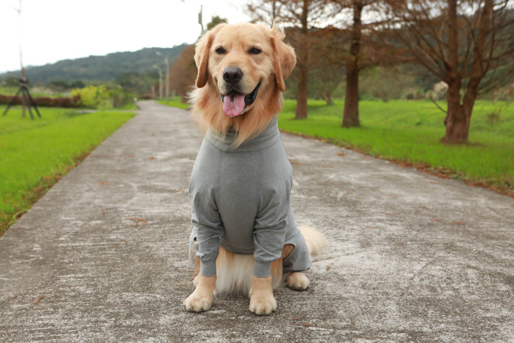 北歐PAIKKA狗狗衣服,重視機能與設計感:專利石墨烯遠紅外線恆溫衣、防水雙層保暖外出服 - 第10張圖 北歐PAIKKA狗狗衣服,重視機能與設計感:專利石墨烯遠紅外線恆溫衣、防水雙層保暖外出服