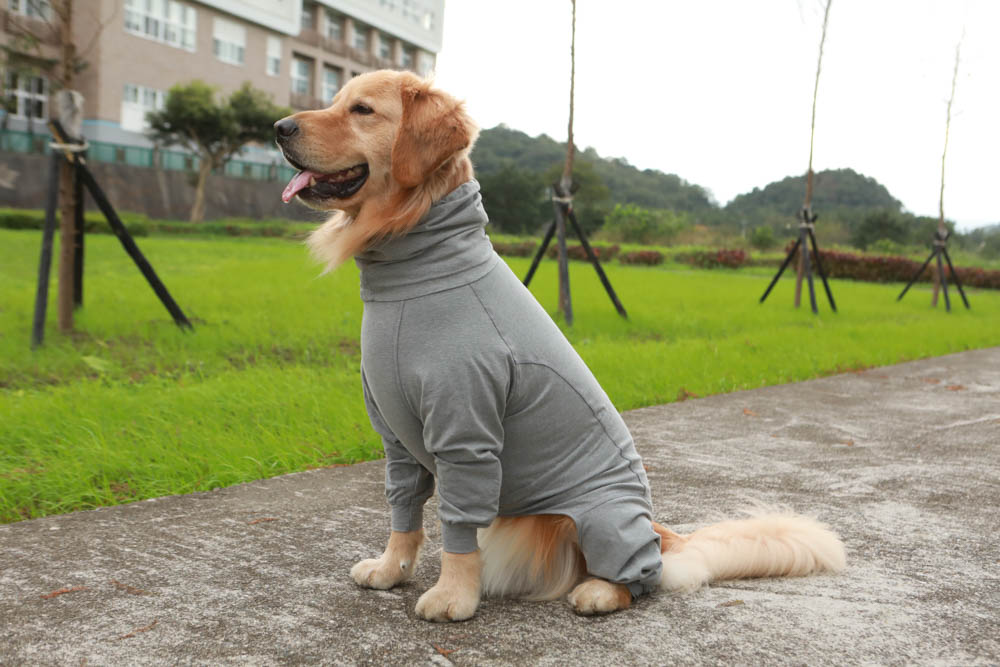 北歐PAIKKA狗狗衣服,重視機能與設計感:專利石墨烯遠紅外線恆溫衣、防水雙層保暖外出服 - 第13張圖 北歐PAIKKA狗狗衣服,重視機能與設計感:專利石墨烯遠紅外線恆溫衣、防水雙層保暖外出服