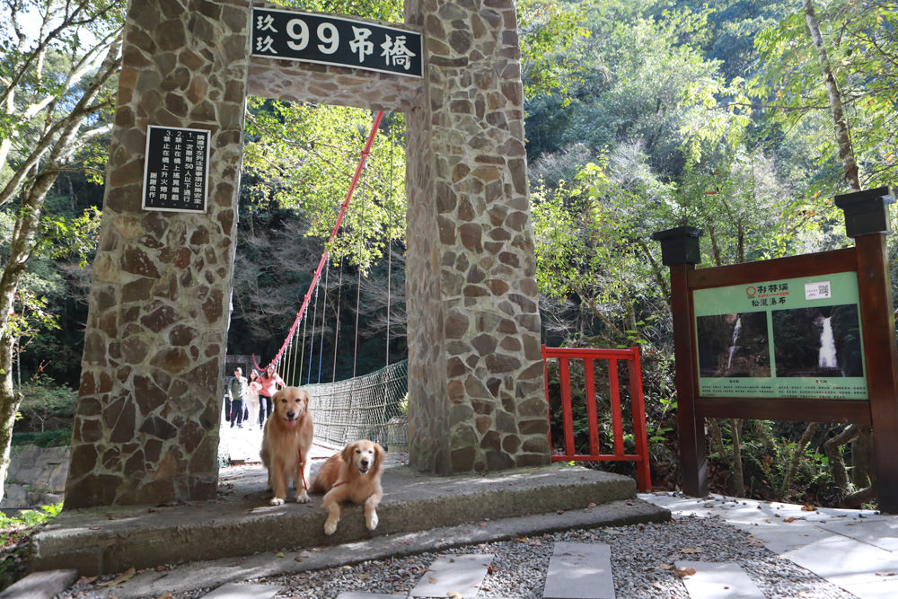 南投景點|杉林溪森林生態渡假園區。寵物友善景點、杉林溪黃金水杉林、海拔1600公尺絕美山林 - 第4張圖 南投景點|杉林溪森林生態渡假園區。寵物友善景點、杉林溪黃金水杉林、海拔1600公尺絕美山林