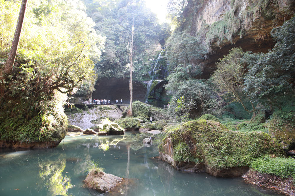 南投景點|杉林溪森林生態渡假園區。寵物友善景點、杉林溪黃金水杉林、海拔1600公尺絕美山林 - 第5張圖 南投景點|杉林溪森林生態渡假園區。寵物友善景點、杉林溪黃金水杉林、海拔1600公尺絕美山林