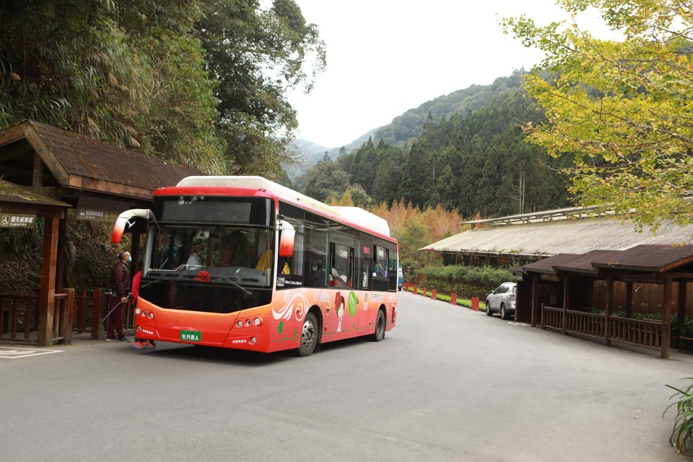 南投景點|杉林溪森林生態渡假園區。寵物友善景點、杉林溪黃金水杉林、海拔1600公尺絕美山林 - 第2張圖 南投景點|杉林溪森林生態渡假園區。寵物友善景點、杉林溪黃金水杉林、海拔1600公尺絕美山林