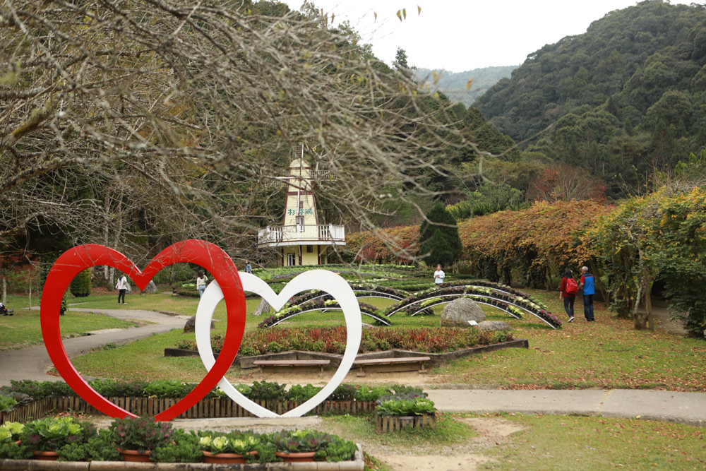 南投景點|杉林溪森林生態渡假園區。寵物友善景點、杉林溪黃金水杉林、海拔1600公尺絕美山林 - 第25張圖 南投景點|杉林溪森林生態渡假園區。寵物友善景點、杉林溪黃金水杉林、海拔1600公尺絕美山林