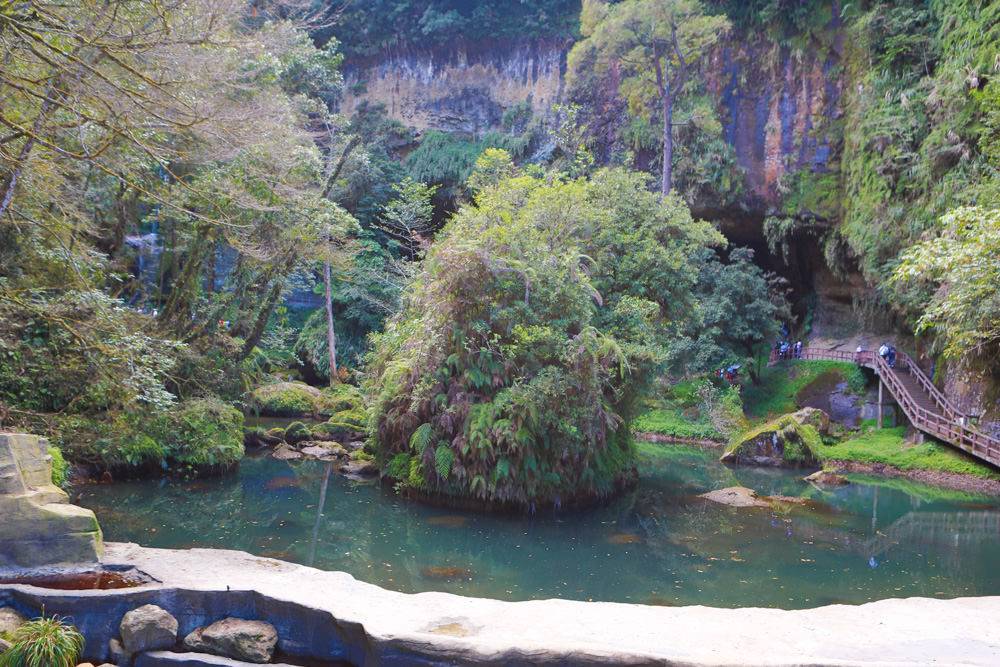 南投景點|杉林溪森林生態渡假園區。寵物友善景點、杉林溪黃金水杉林、海拔1600公尺絕美山林 - 第6張圖 南投景點|杉林溪森林生態渡假園區。寵物友善景點、杉林溪黃金水杉林、海拔1600公尺絕美山林