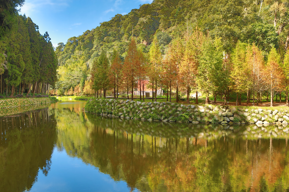 南投景點|杉林溪森林生態渡假園區。寵物友善景點、杉林溪黃金水杉林、海拔1600公尺絕美山林 - 第33張圖 南投景點|杉林溪森林生態渡假園區。寵物友善景點、杉林溪黃金水杉林、海拔1600公尺絕美山林