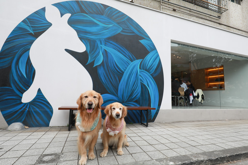台北民生社區美食|The Antipodean 澳式早午餐、澳洲風格咖啡店。寵物友善餐廳、招牌皇后大早餐 - 第2張圖 台北民生社區美食|The Antipodean 澳式早午餐、澳洲風格咖啡店。寵物友善餐廳、招牌皇后大早餐