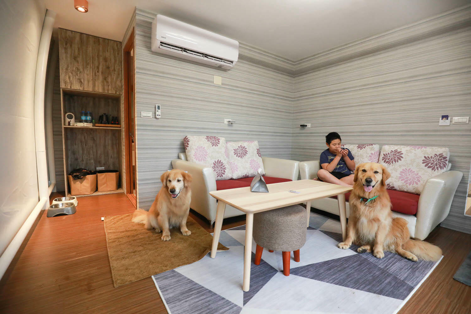 南投清境｜見晴花園渡假山莊。清境寵物友善民宿、星空樓中樓帳篷、懶人豪華露營、露營車、一泊三食