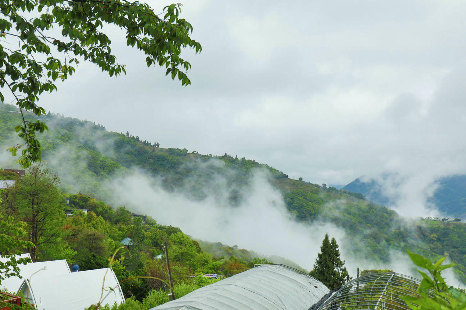 南投清境｜見晴花園渡假山莊。清境寵物友善民宿、星空樓中樓帳篷、懶人豪華露營、露營車、一泊三食