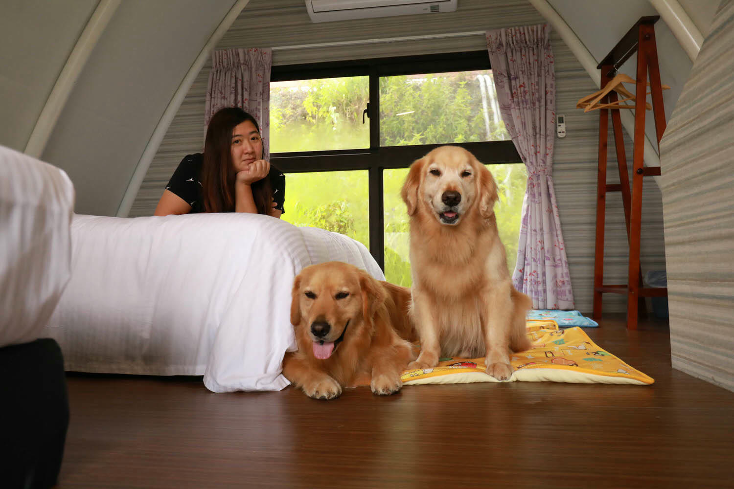 南投清境｜見晴花園渡假山莊。清境寵物友善民宿、星空樓中樓帳篷、懶人豪華露營、露營車、一泊三食