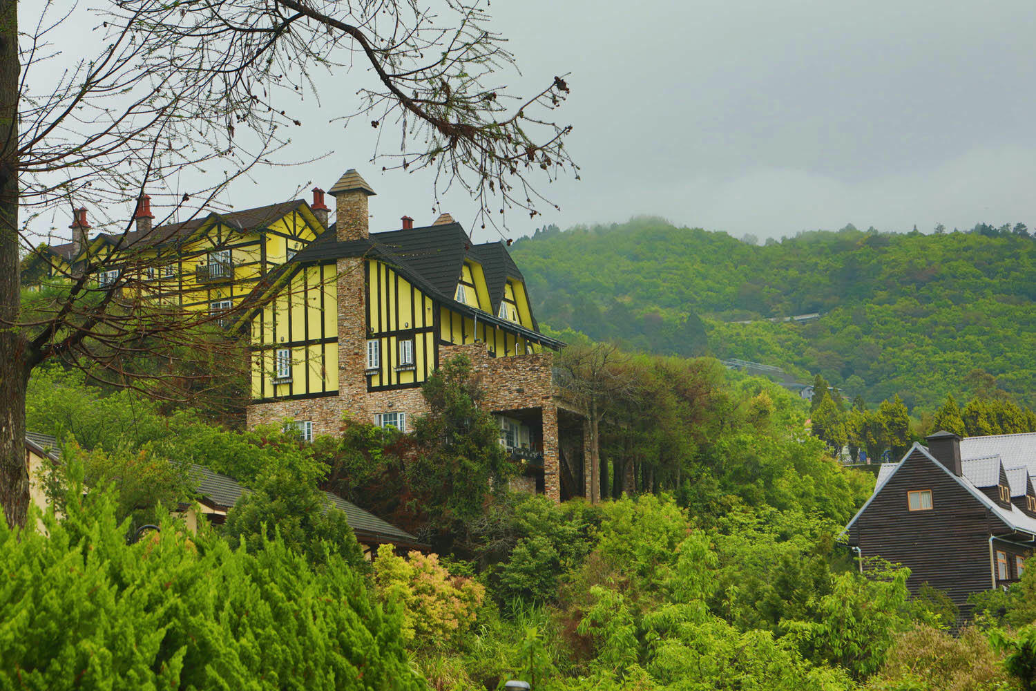 南投清境｜見晴花園渡假山莊。清境寵物友善民宿、星空樓中樓帳篷、懶人豪華露營、露營車、一泊三食