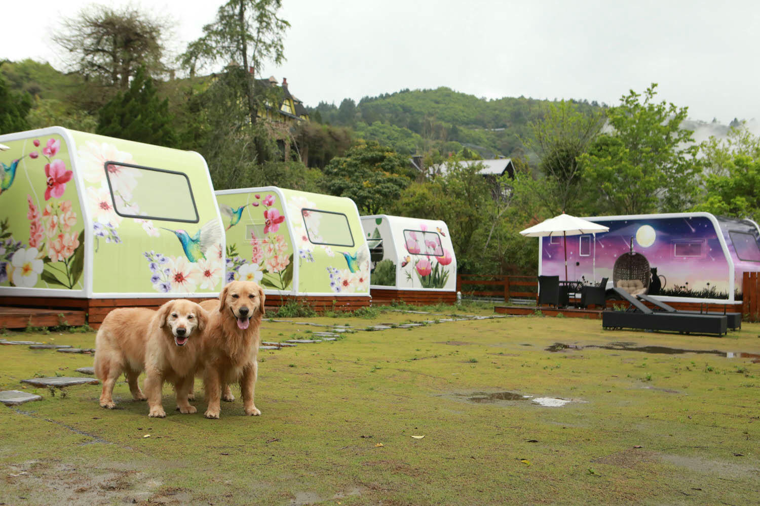 南投清境｜見晴花園渡假山莊。清境寵物友善民宿、星空樓中樓帳篷、懶人豪華露營、露營車、一泊三食