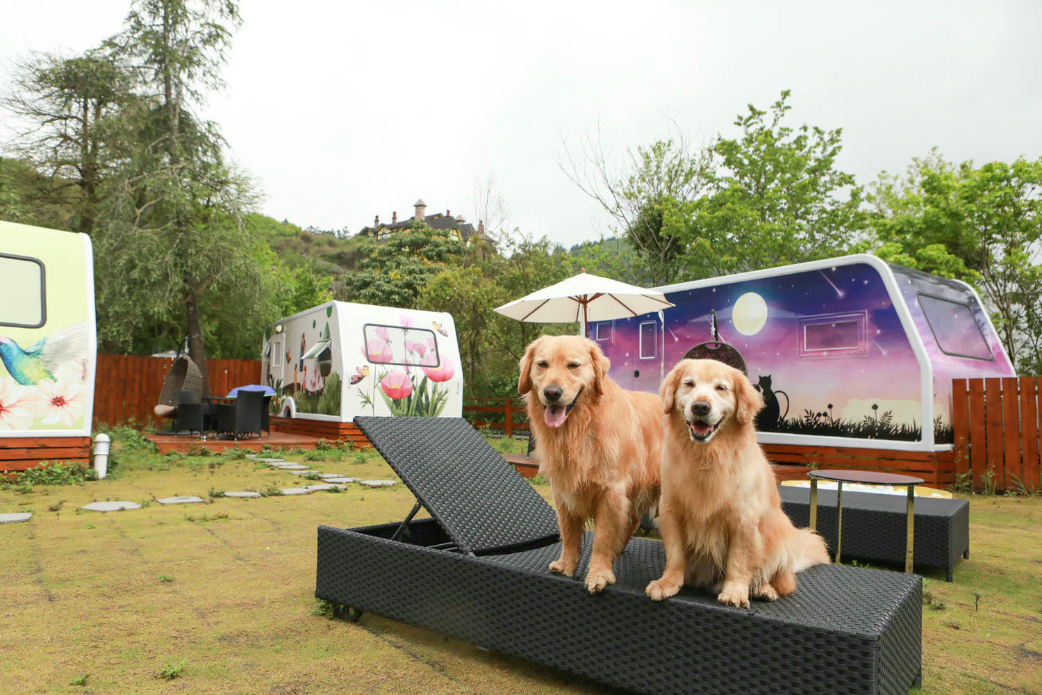 南投清境｜見晴花園渡假山莊。清境寵物友善民宿、星空樓中樓帳篷、懶人豪華露營、露營車、一泊三食