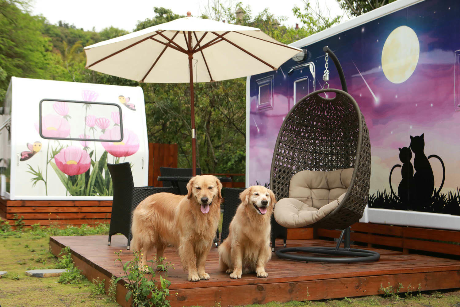 南投清境｜見晴花園渡假山莊。清境寵物友善民宿、星空樓中樓帳篷、懶人豪華露營、露營車、一泊三食