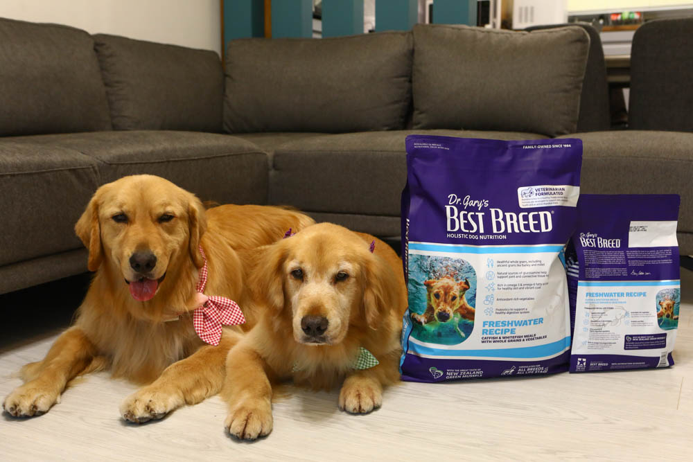 WDJ推薦寵物飼料|美國BEST BREED新貝斯比全天然優質乾糧。全齡犬冷泉鯰魚配方、低脂 - 第5張圖 WDJ推薦寵物飼料|美國BEST BREED新貝斯比全天然優質乾糧。全齡犬冷泉鯰魚配方、低脂