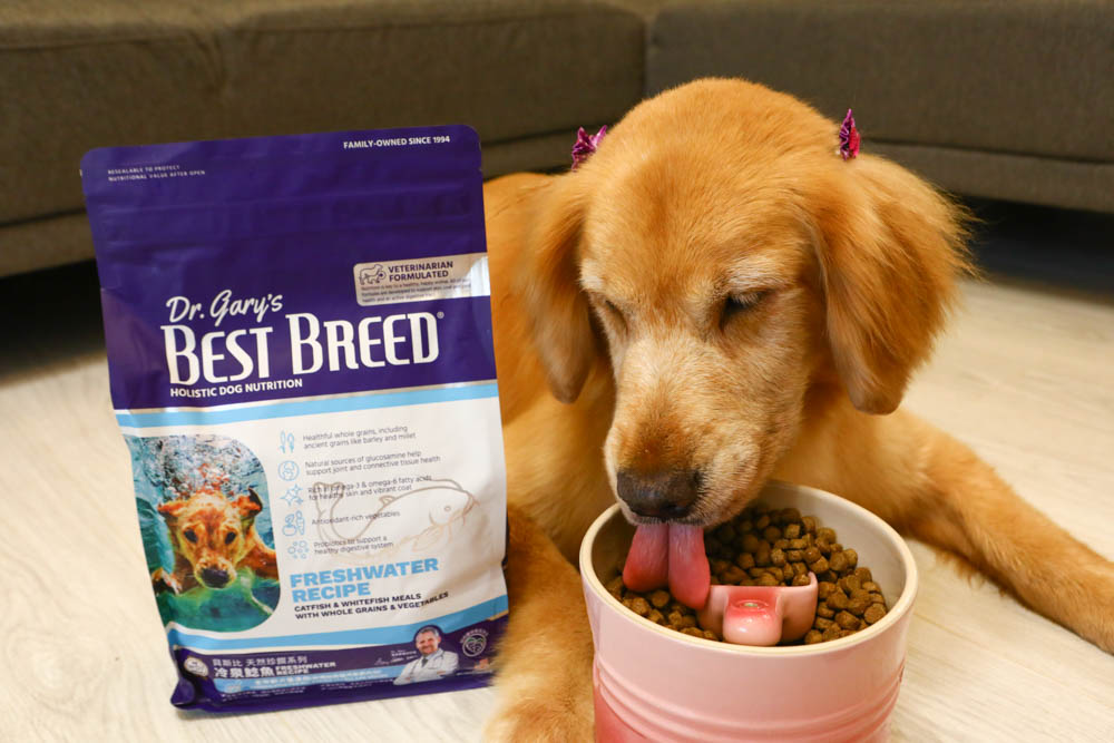 WDJ推薦寵物飼料|美國BEST BREED新貝斯比全天然優質乾糧。全齡犬冷泉鯰魚配方、低脂 - 第7張圖 WDJ推薦寵物飼料|美國BEST BREED新貝斯比全天然優質乾糧。全齡犬冷泉鯰魚配方、低脂