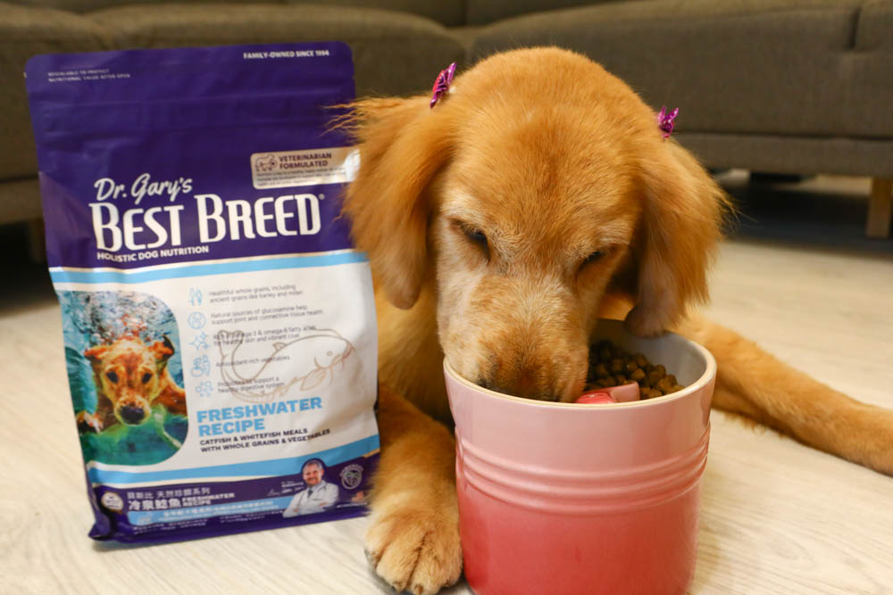 WDJ推薦寵物飼料|美國BEST BREED新貝斯比全天然優質乾糧。全齡犬冷泉鯰魚配方、低脂 - 第10張圖 WDJ推薦寵物飼料|美國BEST BREED新貝斯比全天然優質乾糧。全齡犬冷泉鯰魚配方、低脂