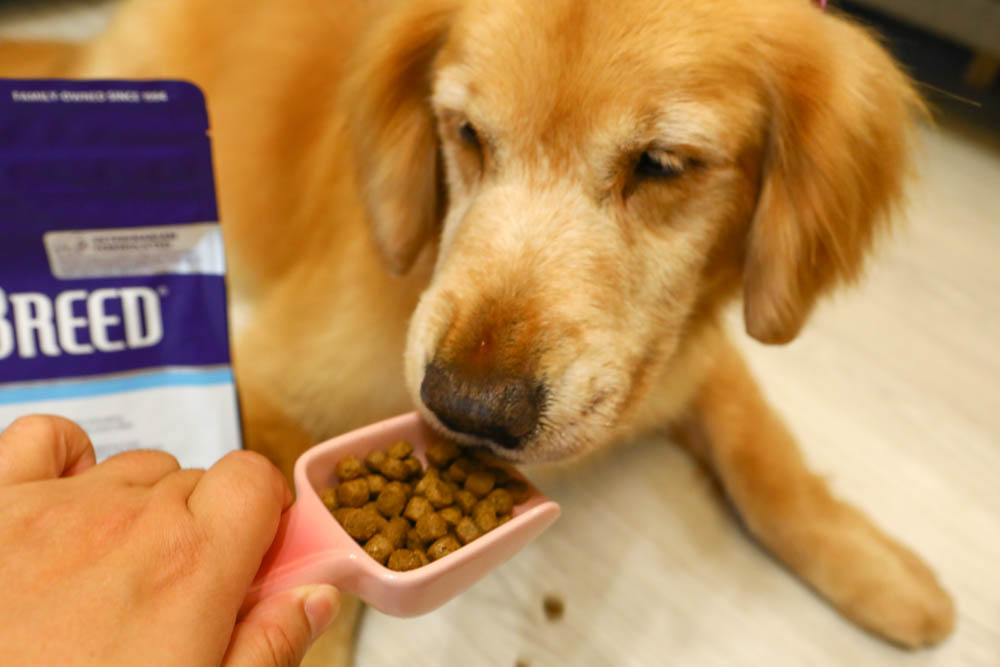 WDJ推薦寵物飼料|美國BEST BREED新貝斯比全天然優質乾糧。全齡犬冷泉鯰魚配方、低脂 - 第11張圖 WDJ推薦寵物飼料|美國BEST BREED新貝斯比全天然優質乾糧。全齡犬冷泉鯰魚配方、低脂