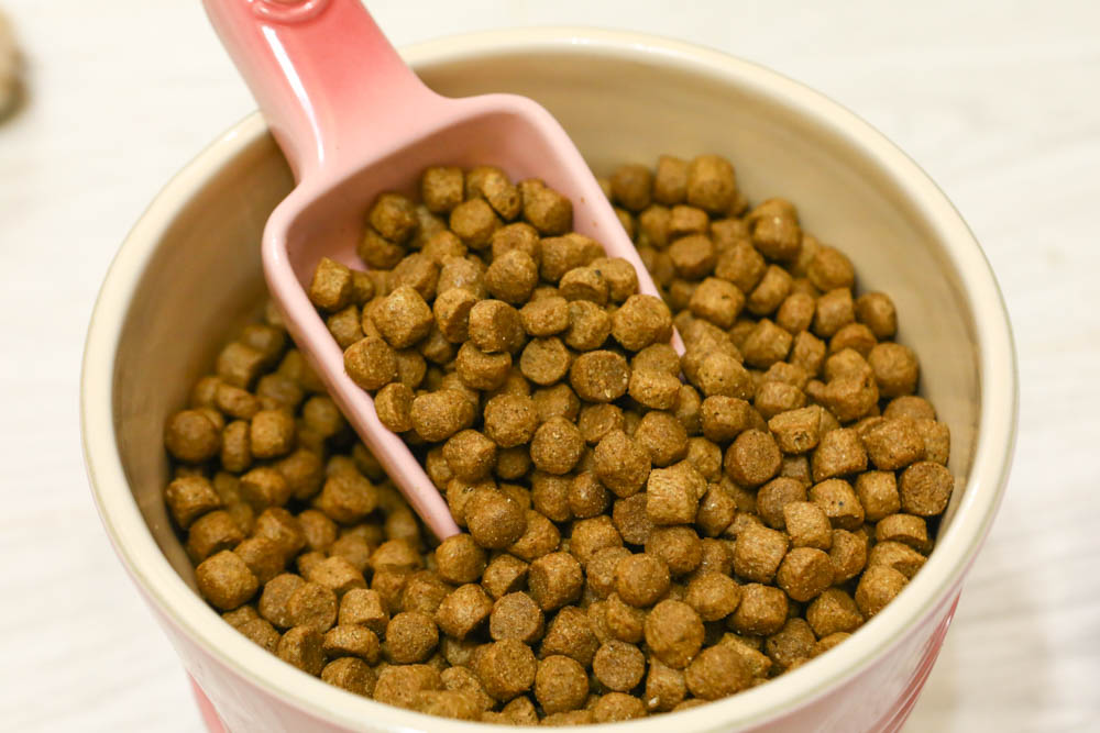 WDJ推薦寵物飼料|美國BEST BREED新貝斯比全天然優質乾糧。全齡犬冷泉鯰魚配方、低脂 - 第9張圖 WDJ推薦寵物飼料|美國BEST BREED新貝斯比全天然優質乾糧。全齡犬冷泉鯰魚配方、低脂