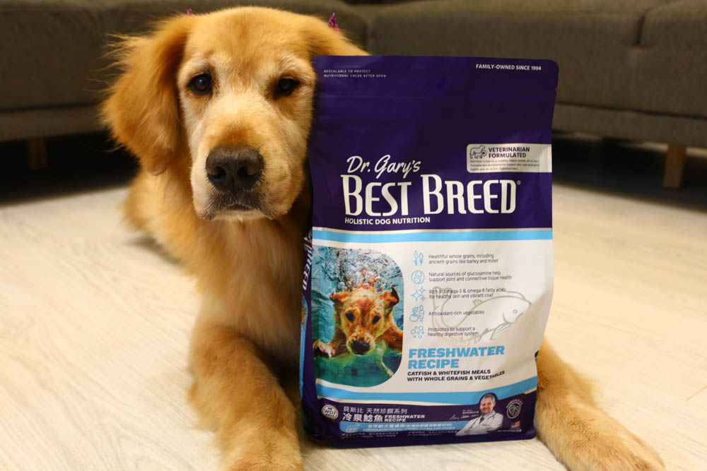 WDJ推薦寵物飼料|美國BEST BREED新貝斯比全天然優質乾糧。全齡犬冷泉鯰魚配方、低脂 - 第14張圖 WDJ推薦寵物飼料|美國BEST BREED新貝斯比全天然優質乾糧。全齡犬冷泉鯰魚配方、低脂