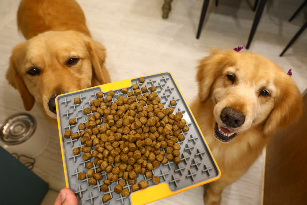 WDJ推薦寵物飼料|美國BEST BREED新貝斯比全天然優質乾糧。全齡犬冷泉鯰魚配方、低脂 - 第13張圖 WDJ推薦寵物飼料|美國BEST BREED新貝斯比全天然優質乾糧。全齡犬冷泉鯰魚配方、低脂