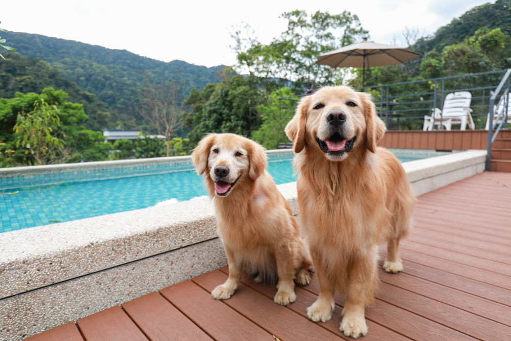 新北烏來溫泉住宿｜烏來足立司拉Sla Ulay溫泉會館、梯田溫泉背包客旅店、寵物友善飯店民宿、房間私人湯屋